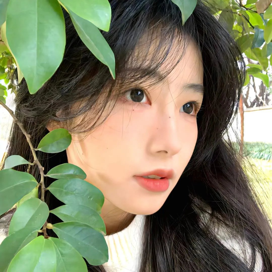 来历不明的孩子