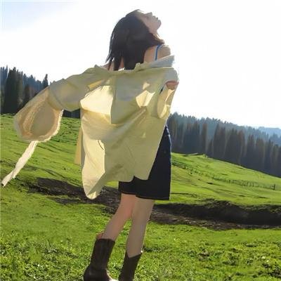 精灵宝可梦破坏之茧与蒂安希国语