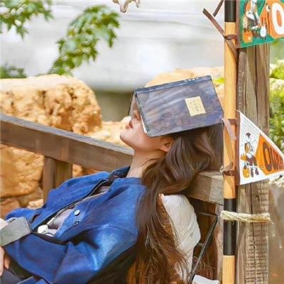 玉面桃花总相逢